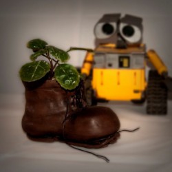 Boot flowerpot