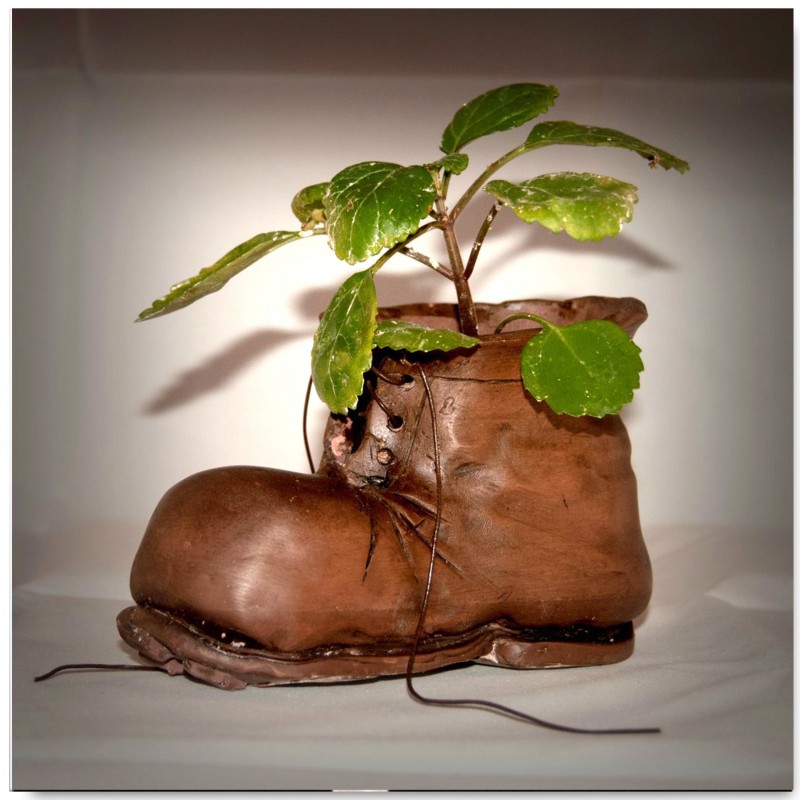 Boot flowerpot